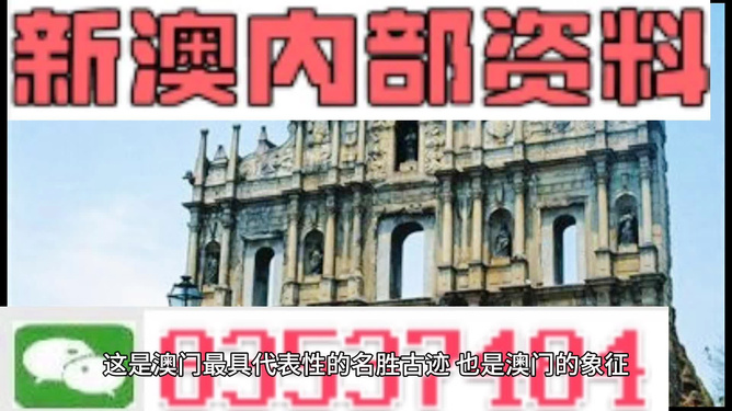 2024新澳门正版免费资料，可依赖操作方案_YIU77.704VR版