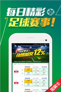 2024新澳门天天开好彩大全,理论考证解析_NVH77.219复古版
