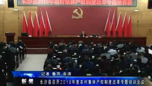 星沙最新新闻综述，观点阐述与综合分析