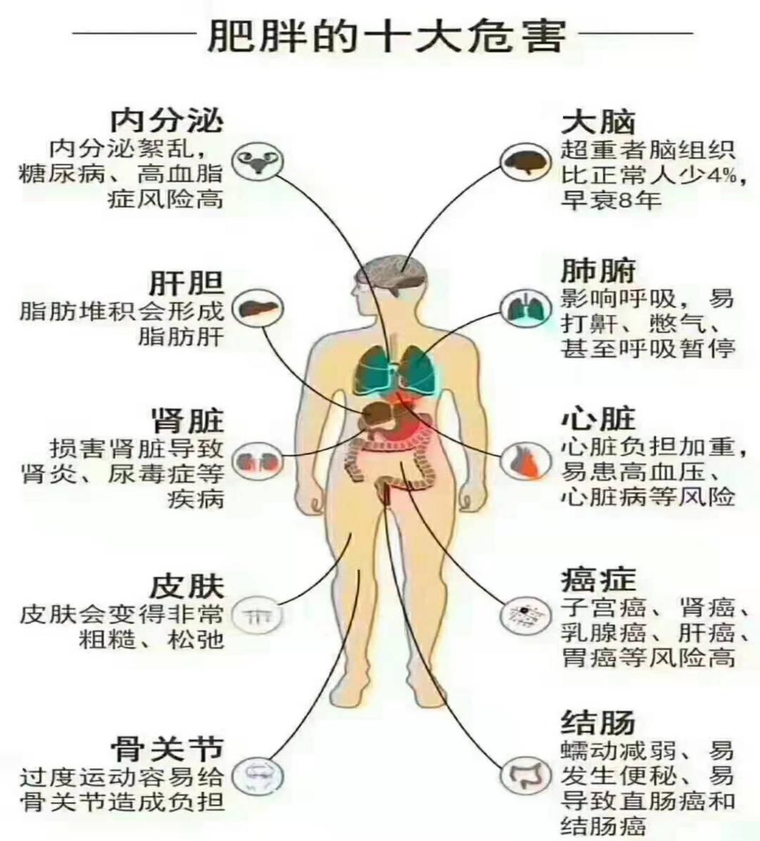 最新节食减肥成功案例，重塑生活的勇气与决心之旅