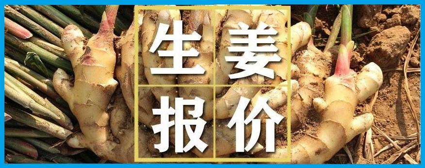 第194页