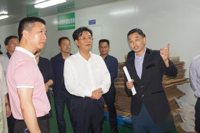 汉森制药最新动态，科技革新引领健康生活新时代