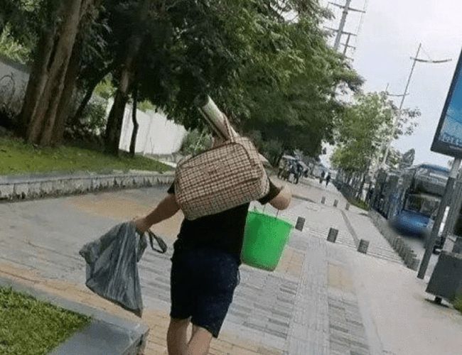 武夷山岩茶 第45页