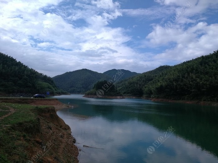 向阳桥水库最新动态更新，最新消息汇总