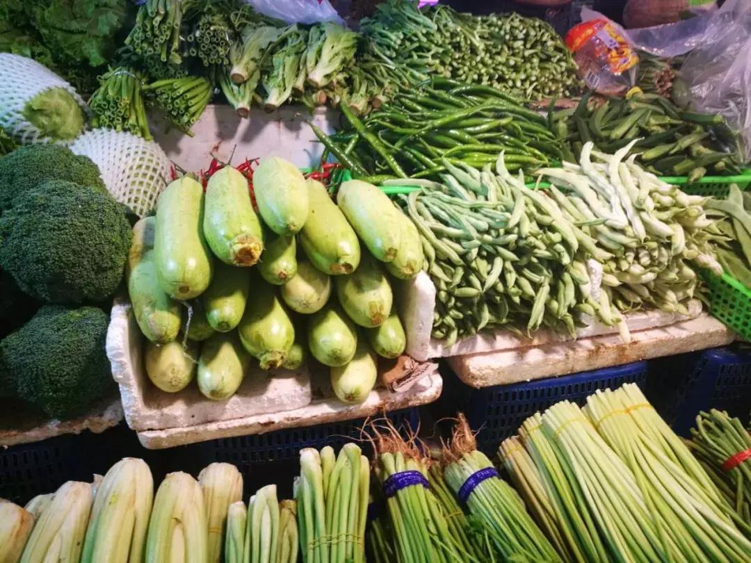 香菜价格最新行情更新报告