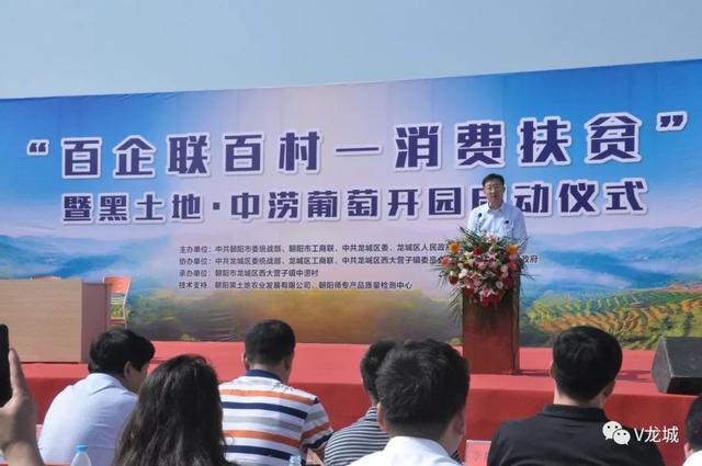 连平县城最新新闻速递