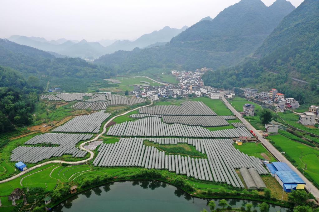 东兰山歌新篇，科技之歌，未来已至