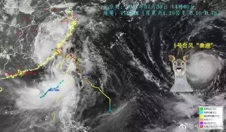 最新暴雨台风动态更新及预警🌧️🌀来袭