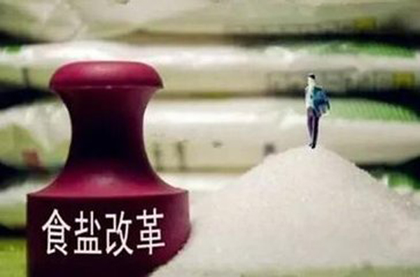 武夷山岩茶 第24页