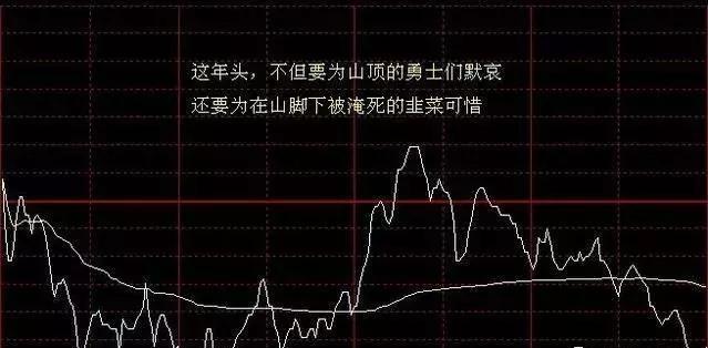 300370股票行情，变化中的学习之旅与自信成就的交融