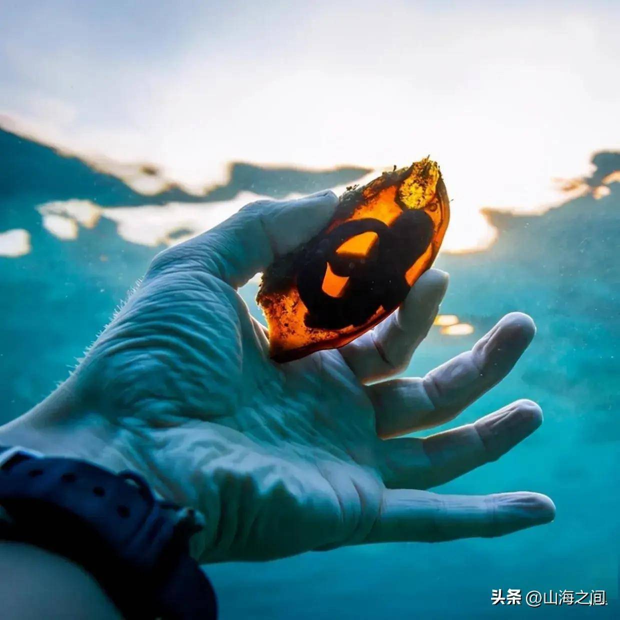 最新最臭，带你领略独特世界的魅力！