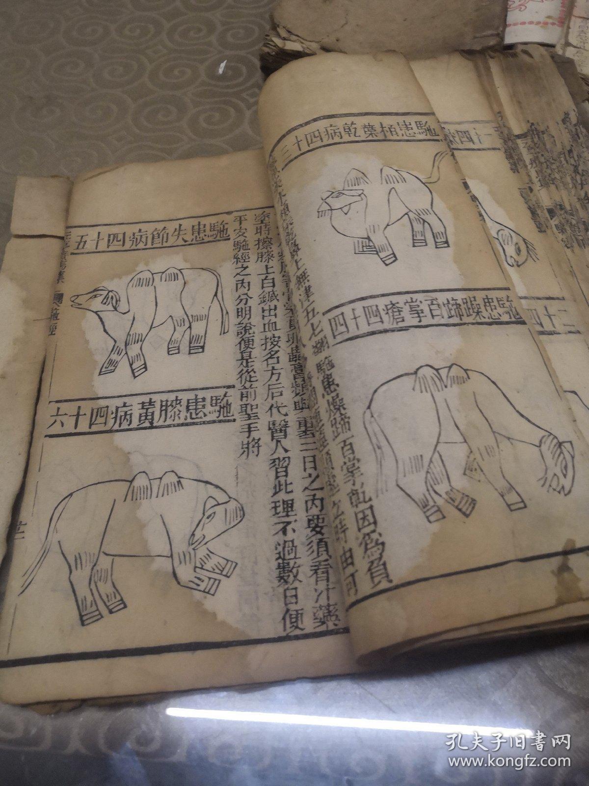 第63页