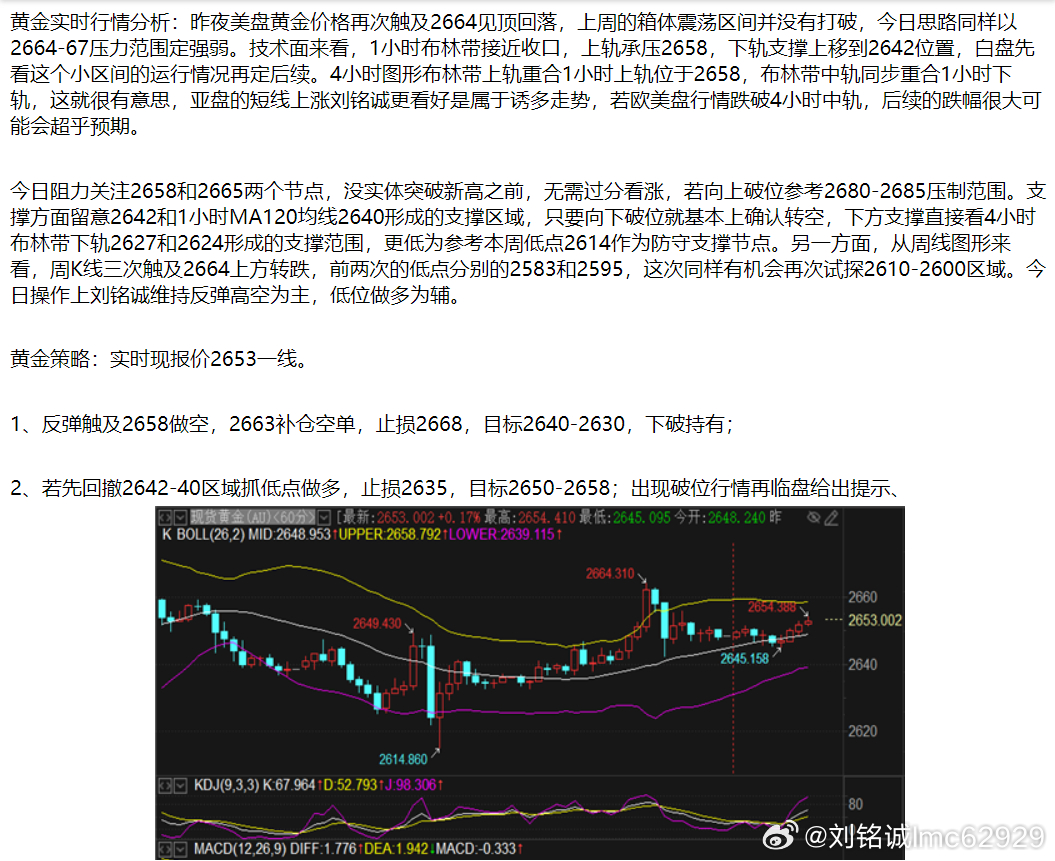 伦敦金最新行情分析与探金之旅的温馨启程