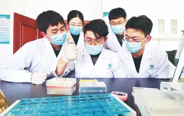 全面指南，禽流感最新感染人数及应对步骤（初学者与进阶用户必读）