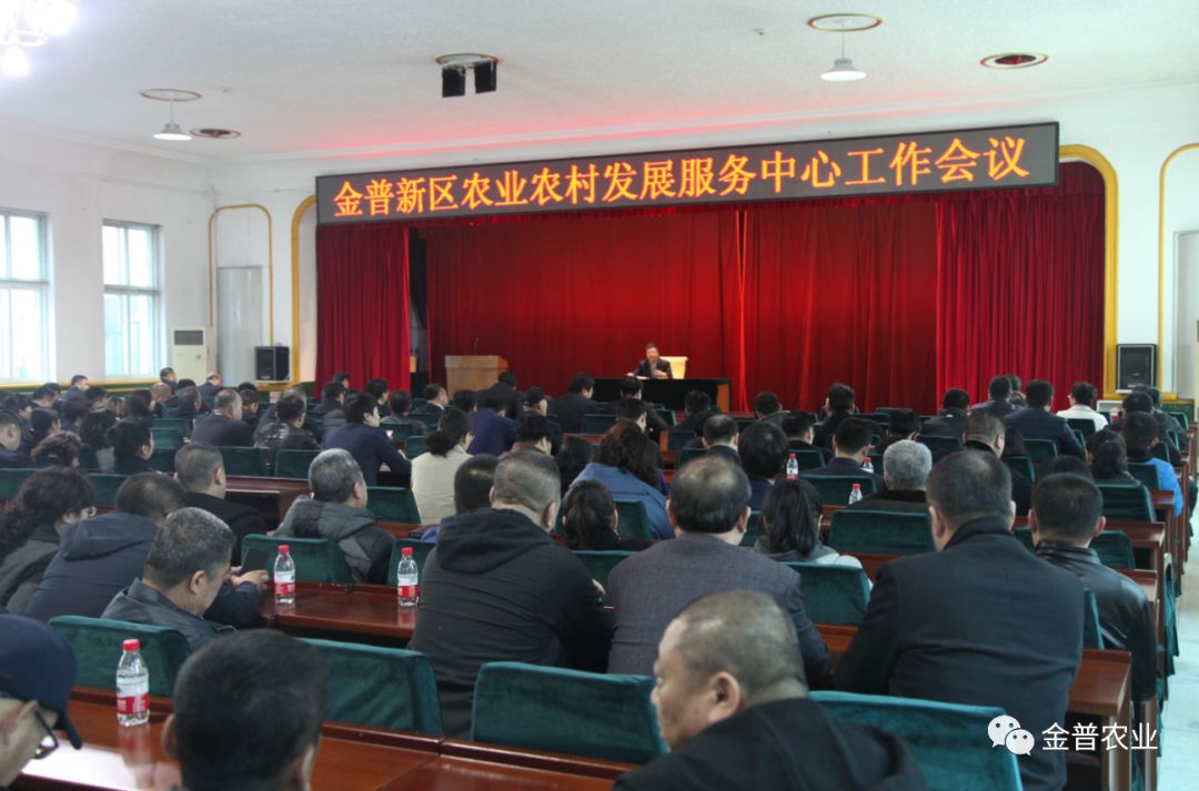 金普新区新领导班子，领航力量铸就辉煌篇章