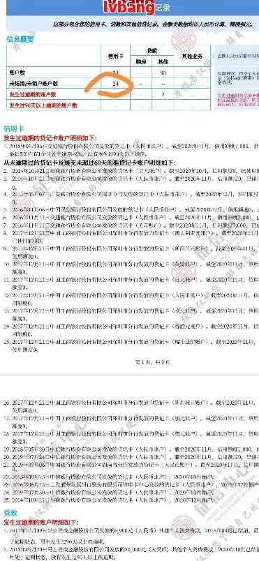 拍拍贷逾期名单更新深度分析与观点阐述