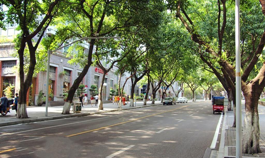 广东中山交通事故最新报道，巷弄深处的探索引发关注