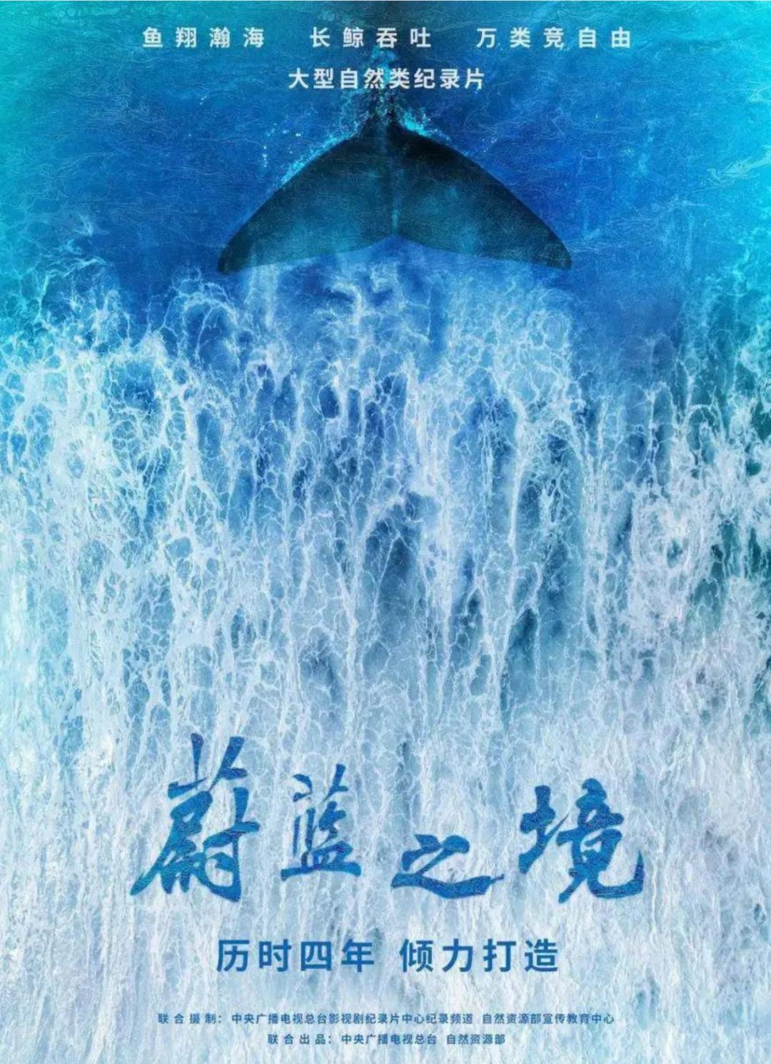 最新蔚蓝，小巷深处的隐藏宝藏探索