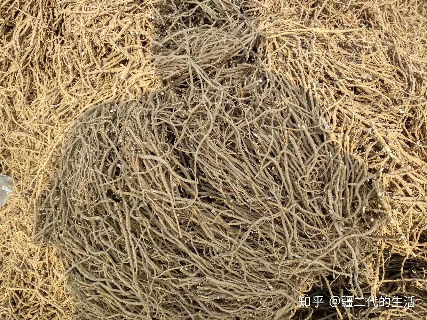 柴胡市场行情深度解析，热议不断，你关注了吗？