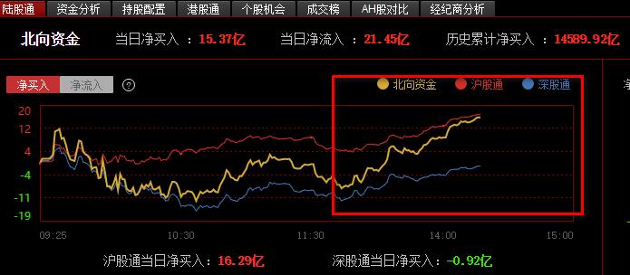 揭秘宝藏股票行情与特色小店的独特魅力，聚焦000584股票行情分析